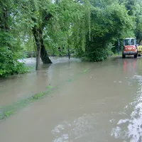 cimg8955.jpg